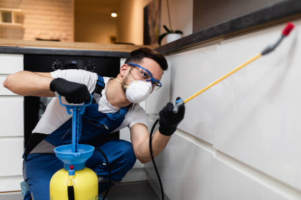 Best Pest Removal Services  in North Wales, PA