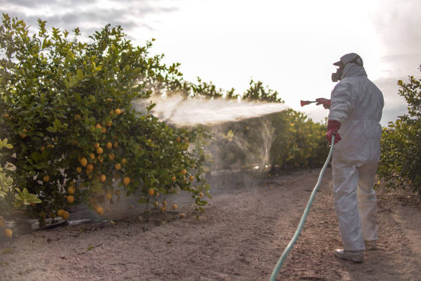 Best Insect Control  in North Wales, PA