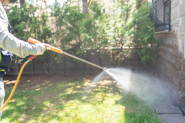 Bird Control in North Wales, PA