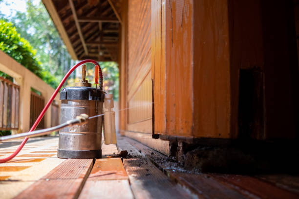 Best Best Pest Control Companies  in North Wales, PA