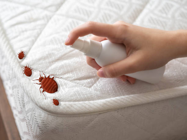 Trusted North Wales, PA Pest Control Experts